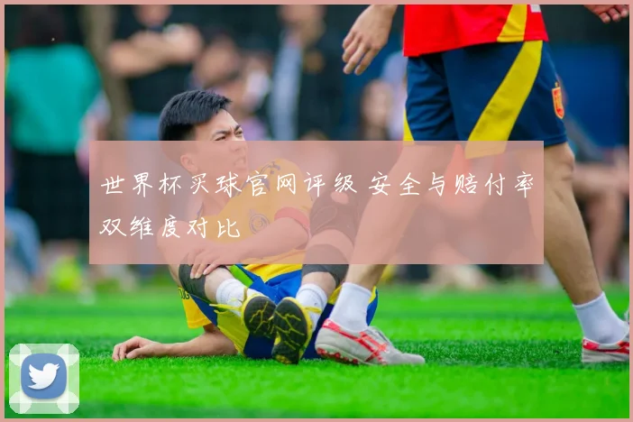 世界杯买球官网评级 安全与赔付率双维度对比