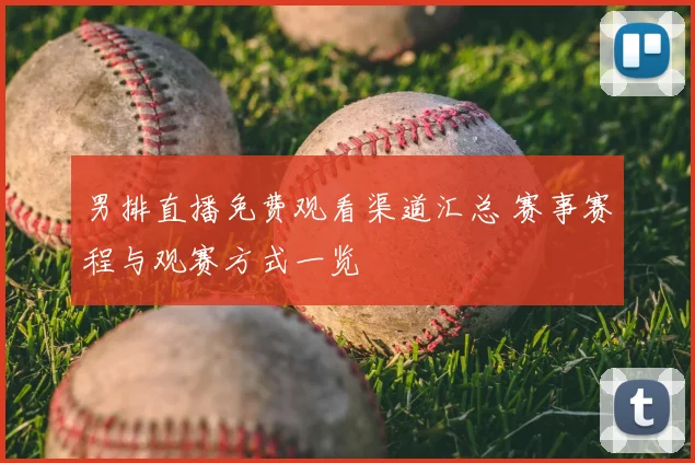 男排直播免费观看渠道汇总 赛事赛程与观赛方式一览