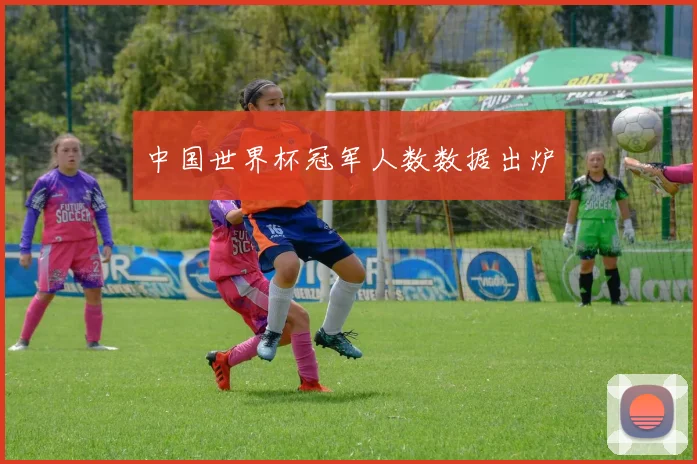 中国世界杯冠军人数数据出炉