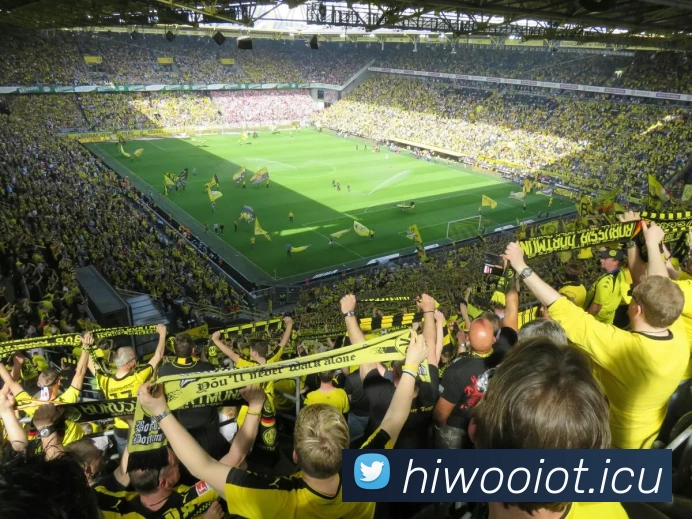 Bsports(中国)官方网站 - 登录入口品牌故事