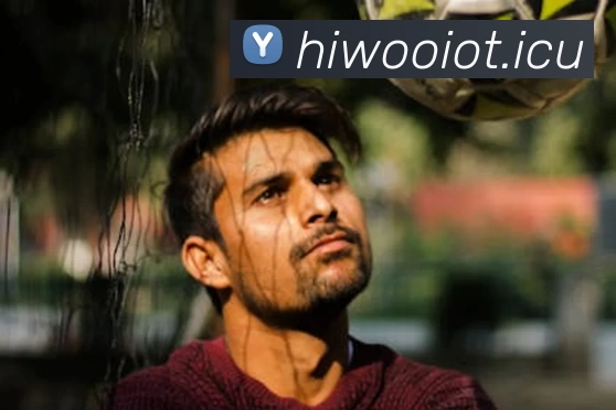 Bsports(中国)官方网站 - 登录入口服务体系